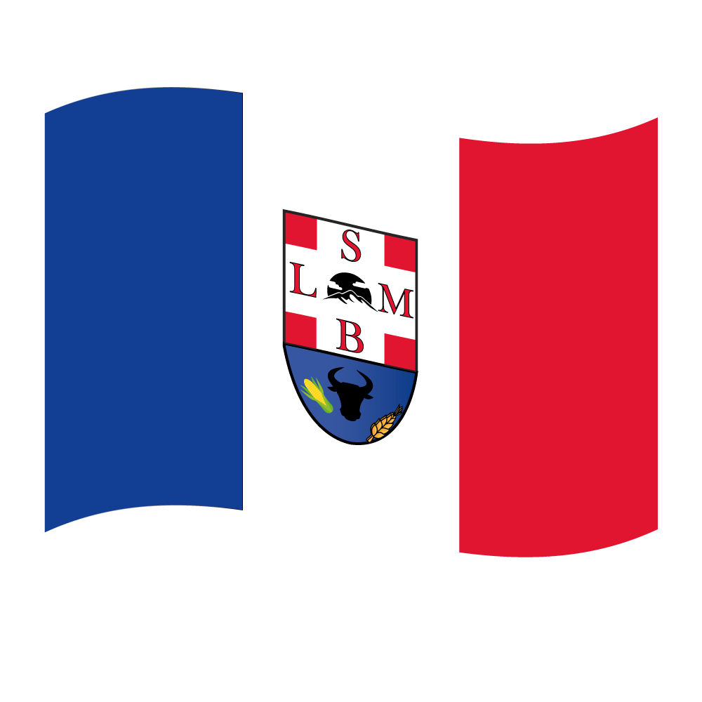 Logo São Luís de Montes Belos - GO